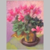 Cyclamen-24x22.JPG