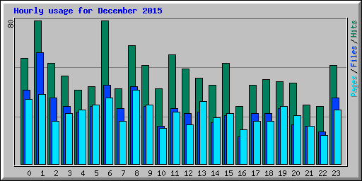 Hourly usage for December 2015