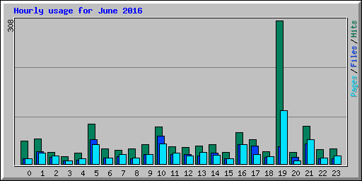 Hourly usage for June 2016